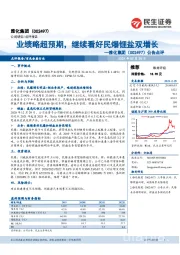 公告点评：业绩略超预期，继续看好民爆锂盐双增长