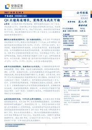 Q4业绩高速增长，装饰黑马成长可期
