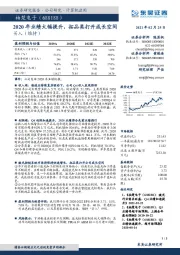 2020年业绩大幅提升，拓品类打开成长空间