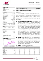 补贴及公允价值变动推升2020业绩大幅成长