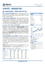 Q4业绩表现亮眼，高举高打新年新气象