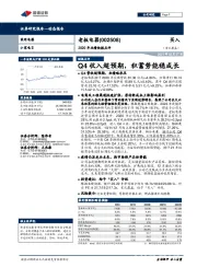 2020年业绩快报点评：Q4收入超预期，积蓄势能稳成长