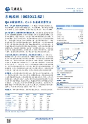 Q4业绩高增长，C+小B渠道优势突出