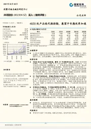 4Q20处产品迭代换挡期，展望中长期改革加速