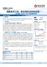 2020年度业绩快报点评：调整尾声已现，新发展阶段即将启程