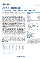 收入端符合预期，利润端表现超预期，Q4单季度表现亮眼