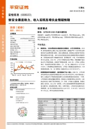 新安全赛道助力，收入实现高增长业绩超预期