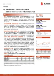 2020年度业绩快报点评报告：Q4业绩表现亮眼，公司活力进一步增强