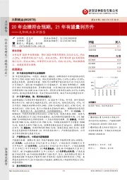 太阳纸业点评报告：20年业绩符合预期，21年有望量利齐升