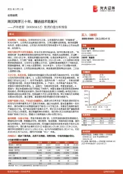 投资价值分析报告：两沉两浮三十年，精进战术助复兴