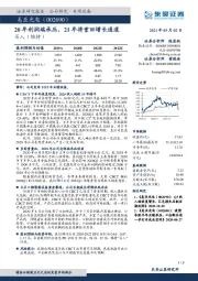 20年利润端承压，21年将重回增长通道