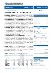 专业储能电池系统厂商，业务增长空间巨大