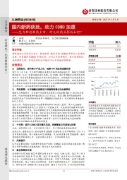 国内新药获批,助力CDMO加速:艾力斯创新药上市,对九洲药业影响如何?