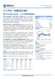 碳中和加速行业发展,公司业绩超预期增长