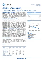 一体化超纤革赛道冠军，向高附加值领域延伸成长前景向好