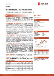 2020年年度报告点评：线上渠道增速亮眼，新三年规划未来可期