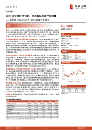 2020年度报告点评:2020年业绩符合预期,关注募投项目产能放量