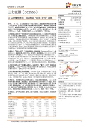 29亿定增终落地，加码推进“双核+多元”战略