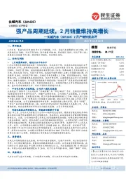 2月产销快报点评：强产品周期延续，2月销量维持高增长