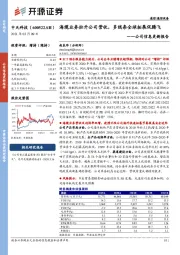 公司信息更新报告：海缆业务拉升公司营收，多线条全球拓展促腾飞