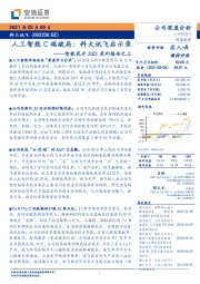 智能花开2021系列报告之三：人工智能C端破局：科大讯飞启示录