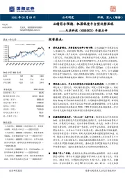 年报点评：业绩符合预期，机器视觉平台型优势显现