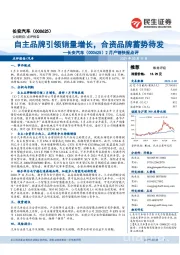 2月产销快报点评：自主品牌引领销量增长，合资品牌蓄势待发