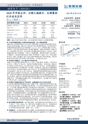 2020年年报点评:业绩大幅提升,定增募投打开成长空间