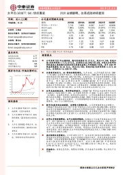 2020业绩靓眼，改革成效持续显现