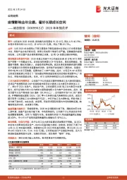 2020年年报点评:疫情影响全年业绩,看好长期成长空间