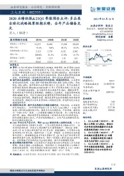 2020业绩快报&21Q1季报预告点评：多品类全球化战略拖累短期业绩，全年产品储备充足