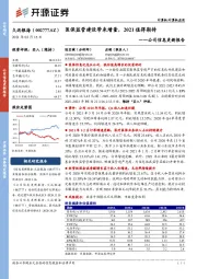 公司信息更新报告：医保监管建设带来增量，2021值得期待