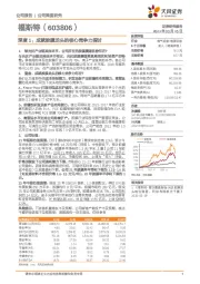 深度1：成就胶膜龙头的核心竞争力探讨