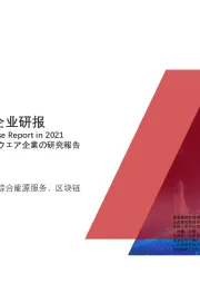 2021年中国远光软件企业研报