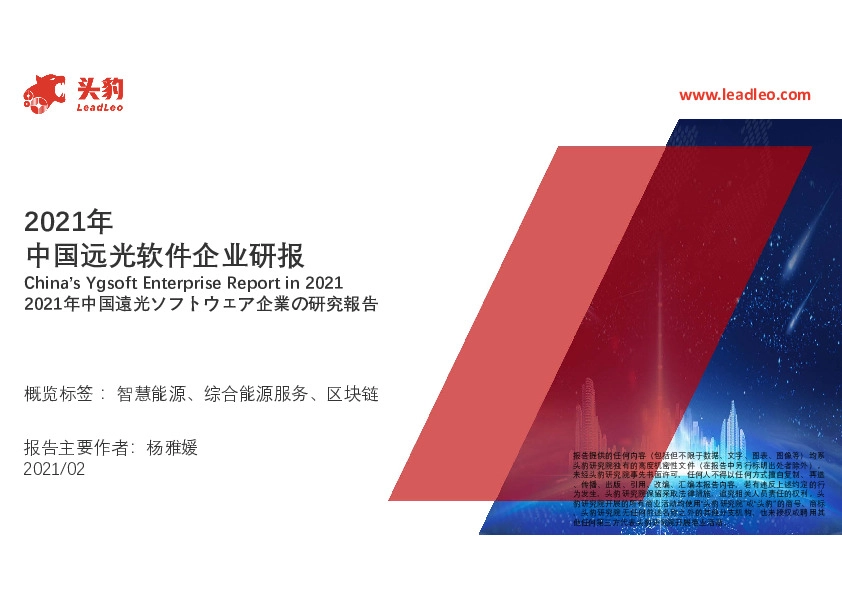 2021年中国远光软件企业研报