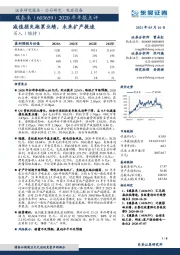 2020年年报点评：减值损失拖累业绩，未来扩产提速