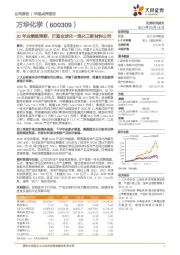 20年业绩超预期，打造全球化一流化工新材料公司