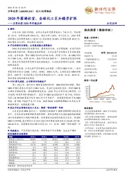 万华化学2020年年报点评：2020年圆满收官，全球化工巨头稳步扩张