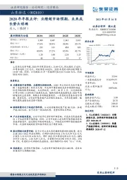 2020年年报点评：业绩超市场预期，未来成长势头明确