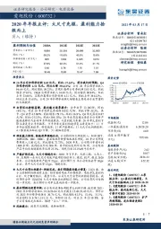 2020年年报点评:大尺寸先驱,盈利能力拾级而上