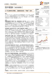 20年业绩符合预期，在建规划项目“再造”宝丰