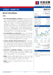 碳中和下的水电铝龙头