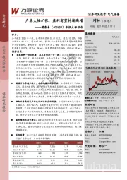 年报点评报告：产能大幅扩张，盈利有望持续高