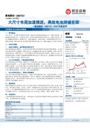 2020年报点评：大尺寸布局加速推进，高效电池突破在即