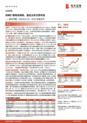 2020年报点评:持续扩展物流网络,速运业务优势明显