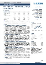 2020年年报点评：业绩略超预期，多领域布局打开成长空间