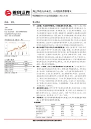 公司深度报告：海上风电方兴未艾，公司优势厚积薄发
