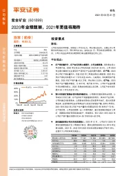 2020年业绩靓丽，2021年更值得期待