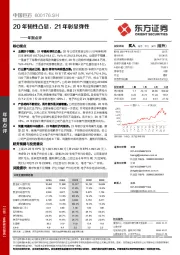 年报点评：20年韧性凸显，21年彰显弹性