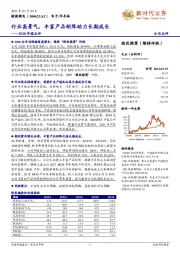 2020年报点评:行业高景气,丰富产品矩阵助力长期成长
